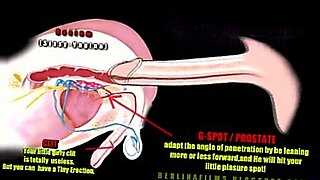 Shemales sensuales se involucran en exploración erótica